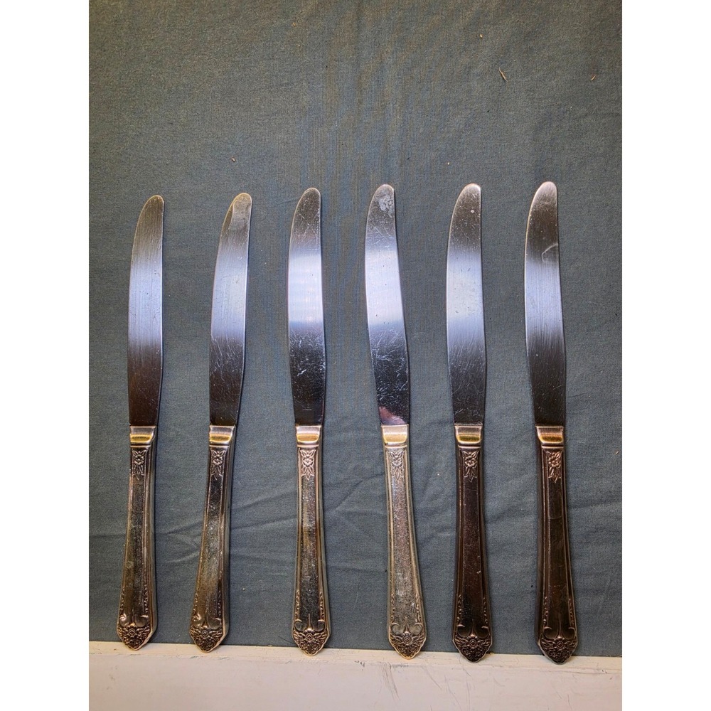 Vintage Wm Rogers Silverplate Dinner Knives 6pc Floral Stainless Blade